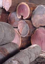 Ядровая древесина амаранта